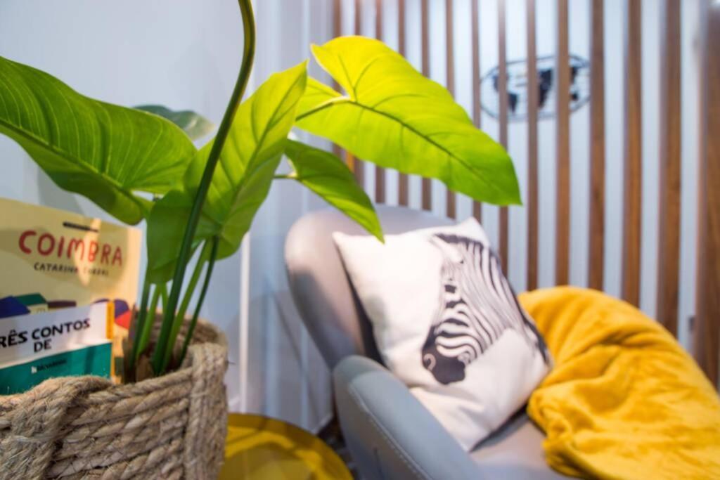 Modern Apartment In Coimbra City Center Екстериор снимка
